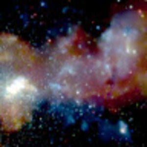 Meet your Posher, Shayna